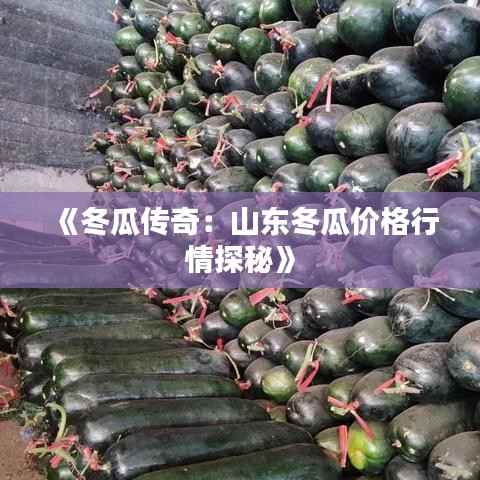 料事如神 第4页