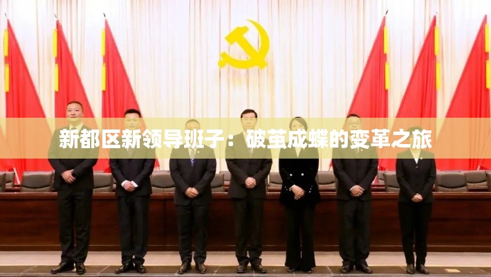新都区新领导班子:破茧成蝶的变革之旅