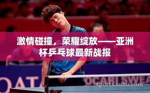 还淳反素 第5页