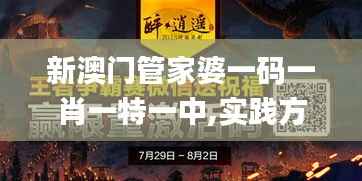 新澳门管家婆一码一肖一特一中,实践方案设计_WP87.735