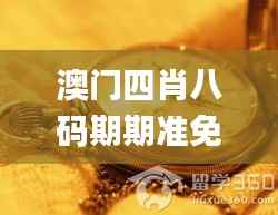 澳门四肖八码期期准免费公开?,快速解答计划解析_VR2.983