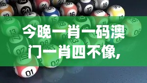 今晚一肖一码澳门一肖四不像,数据导向执行策略_网页版13.218