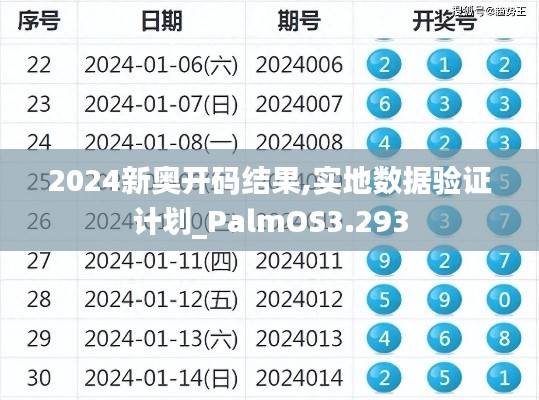 2024新奥开码结果,实地数据验证计划_PalmOS3.293