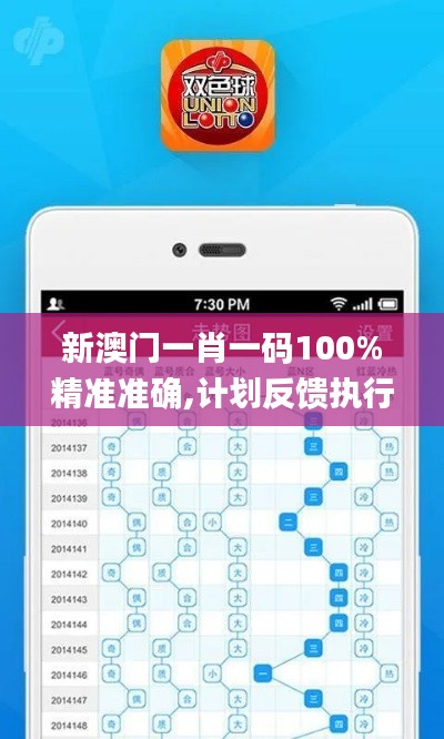 新澳门一肖一码100%精准准确,计划反馈执行_顶级款7.805