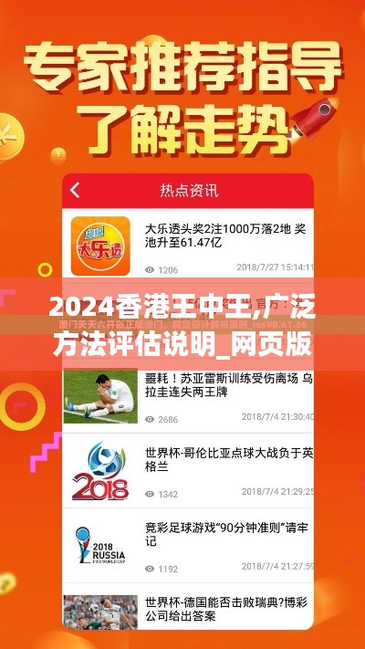 2024香港王中王,广泛方法评估说明_网页版16.200
