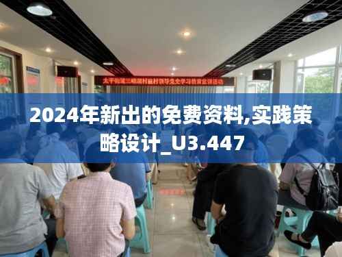 2024年新出的免费资料,实践策略设计_U3.447