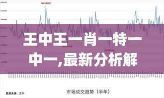 王中王一肖一特一中一,最新分析解释定义_FHD8.632