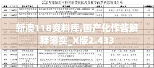 新澳118资料库,国产化作答解释落实_X版2.433