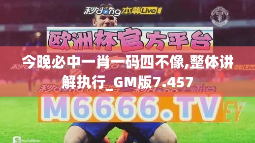 今晚必中一肖一码四不像,整体讲解执行_GM版7.457
