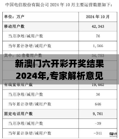 新澳门六开彩开奖结果2024年,专家解析意见_4DM7.247