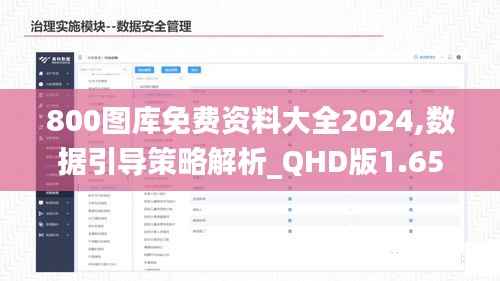 800图库免费资料大全2024,数据引导策略解析_QHD版1.655