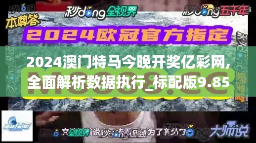 2024澳门特马今晚开奖亿彩网,全面解析数据执行_标配版9.852