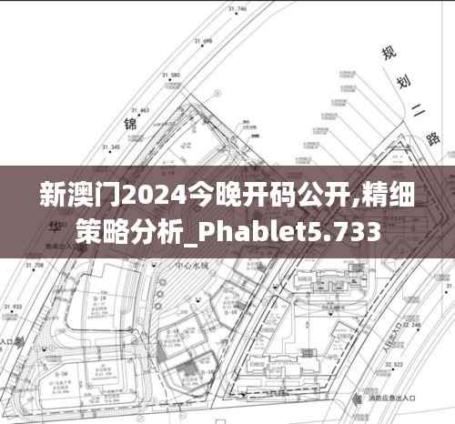 新澳门2024今晚开码公开,精细策略分析_Phablet5.733