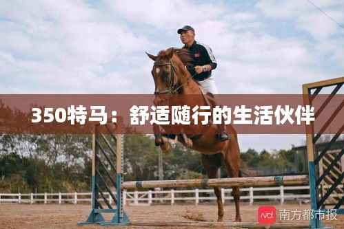 350特马:舒适随行的生活伙伴