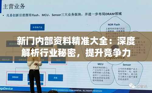新门内部资料精准大全:深度解析行业秘密,提升竞争力