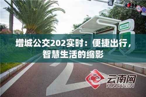 增城公交202实时:便捷出行,智慧生活的缩影