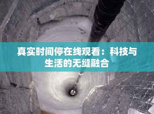 金石为开 第3页