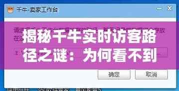 揭秘千牛实时访客路径之谜：为何看不到？