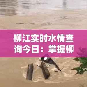 柳江实时水情查询今日:掌握柳江水位动态,安全出行无忧