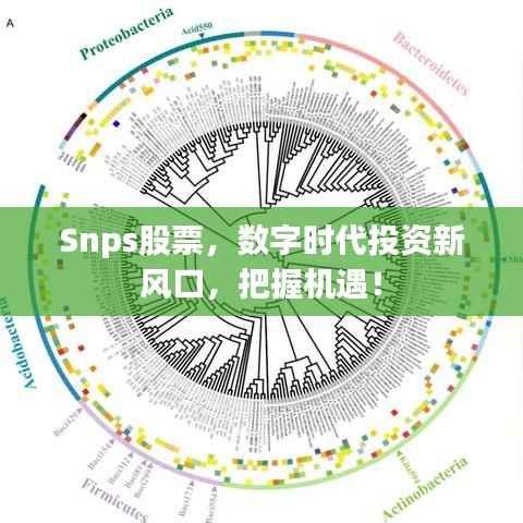 Snps股票，数字时代投资新风口，把握机遇！