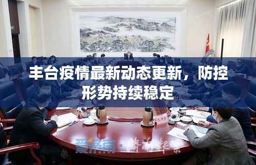 丰台疫情最新动态更新，防控形势持续稳定