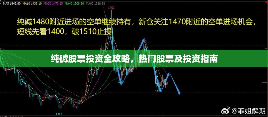 纯碱股票投资全攻略,热门股票及投资指南