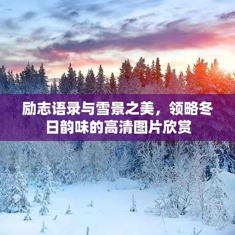 励志语录与雪景之美,领略冬日韵味的高清图片欣赏