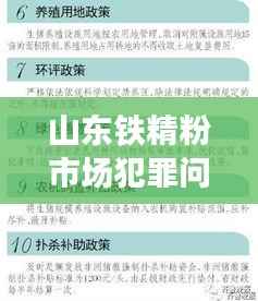 山东铁精粉市场犯罪问题与监管措施深度解析,最新消息一网打尽!