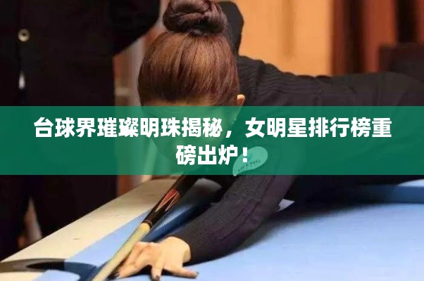 改弦易张 第3页