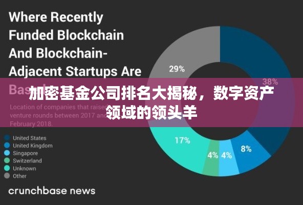 加密基金公司排名大揭秘,数字资产领域的领头羊