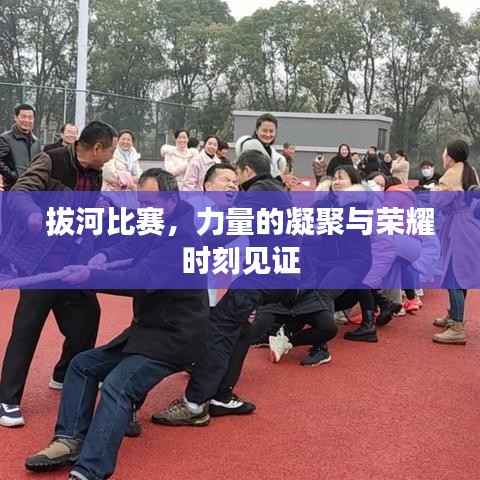 拔河比赛,力量的凝聚与荣耀时刻见证