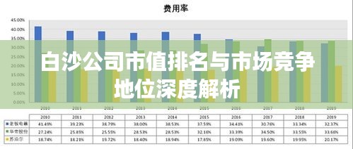 白沙公司市值排名与市场竞争地位深度解析