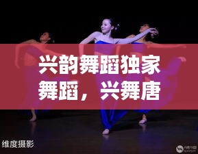 兴韵舞蹈独家舞蹈,兴舞唐文化传媒有限公司