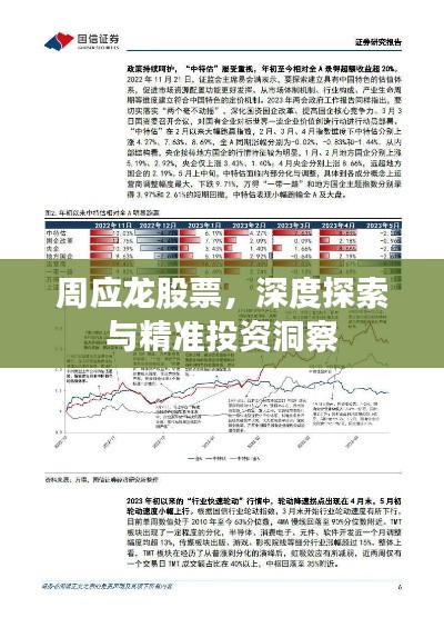 周应龙股票,深度探索与精准投资洞察
