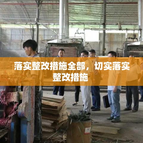 落实整改措施全部,切实落实整改措施