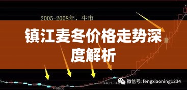 镇江麦冬价格走势深度解析
