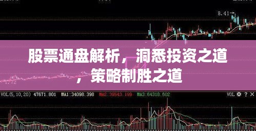 股票通盘解析,洞悉投资之道,策略制胜之道