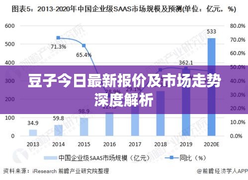 豆子今日最新报价及市场走势深度解析