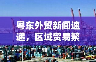 粤东外贸新闻速递,区域贸易繁荣开启经济新篇章