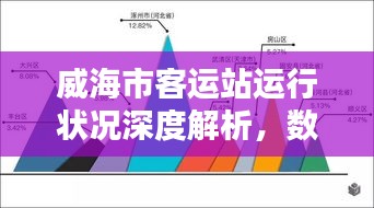 威海市客运站运行状况深度解析,数据揭示真相