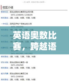 英语奥数比赛,跨越语言界限的智慧较量