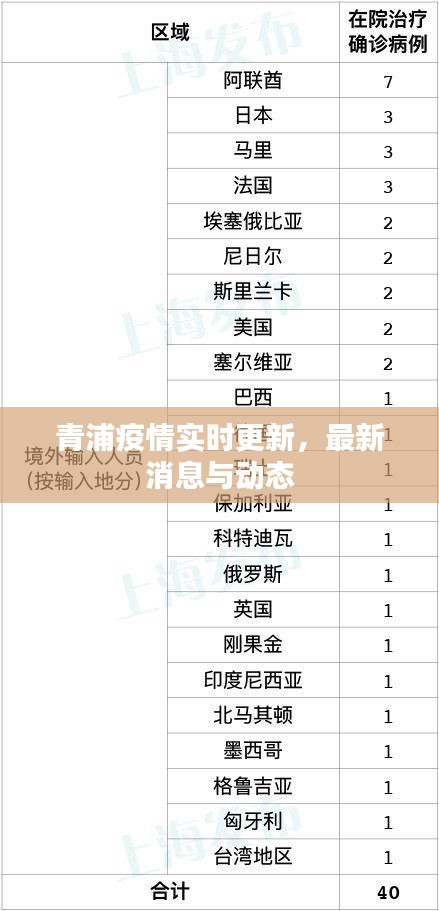 青浦疫情实时更新,最新消息与动态