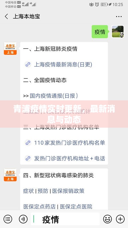 青浦疫情实时更新,最新消息与动态