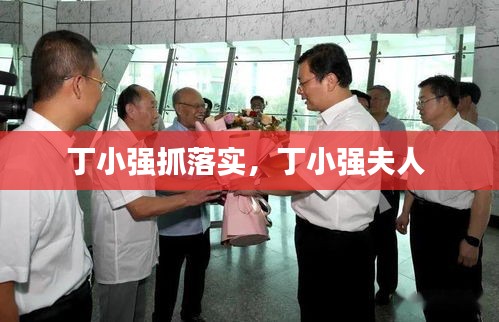 丁小强抓落实，丁小强夫人 