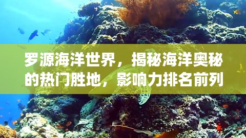 罗源海洋世界,揭秘海洋奥秘的热门胜地,影响力排名前列!