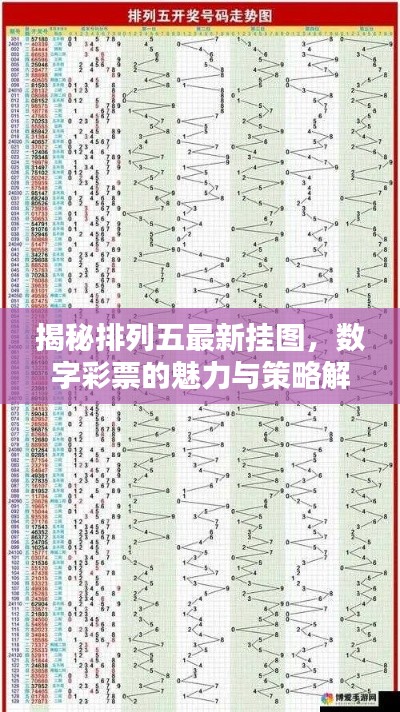 揭秘排列五最新挂图,数字彩票的魅力与策略解析