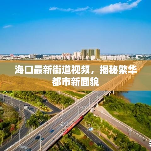 海口最新街道视频，揭秘繁华都市新面貌