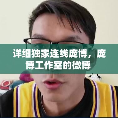 详细独家连线庞博,庞博工作室的微博