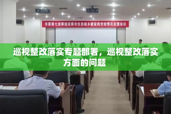 巡视整改落实专题部署,巡视整改落实方面的问题