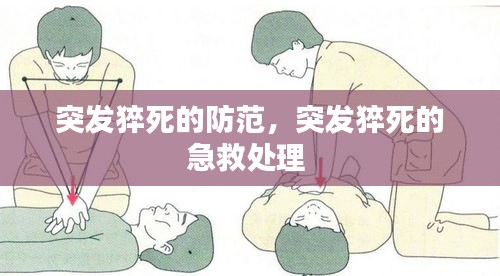 突发猝死的防范,突发猝死的急救处理